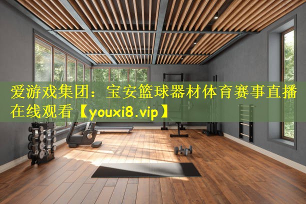 <strong>爱游戏集团：宝安篮球器材体育赛事直播在线观看</strong>