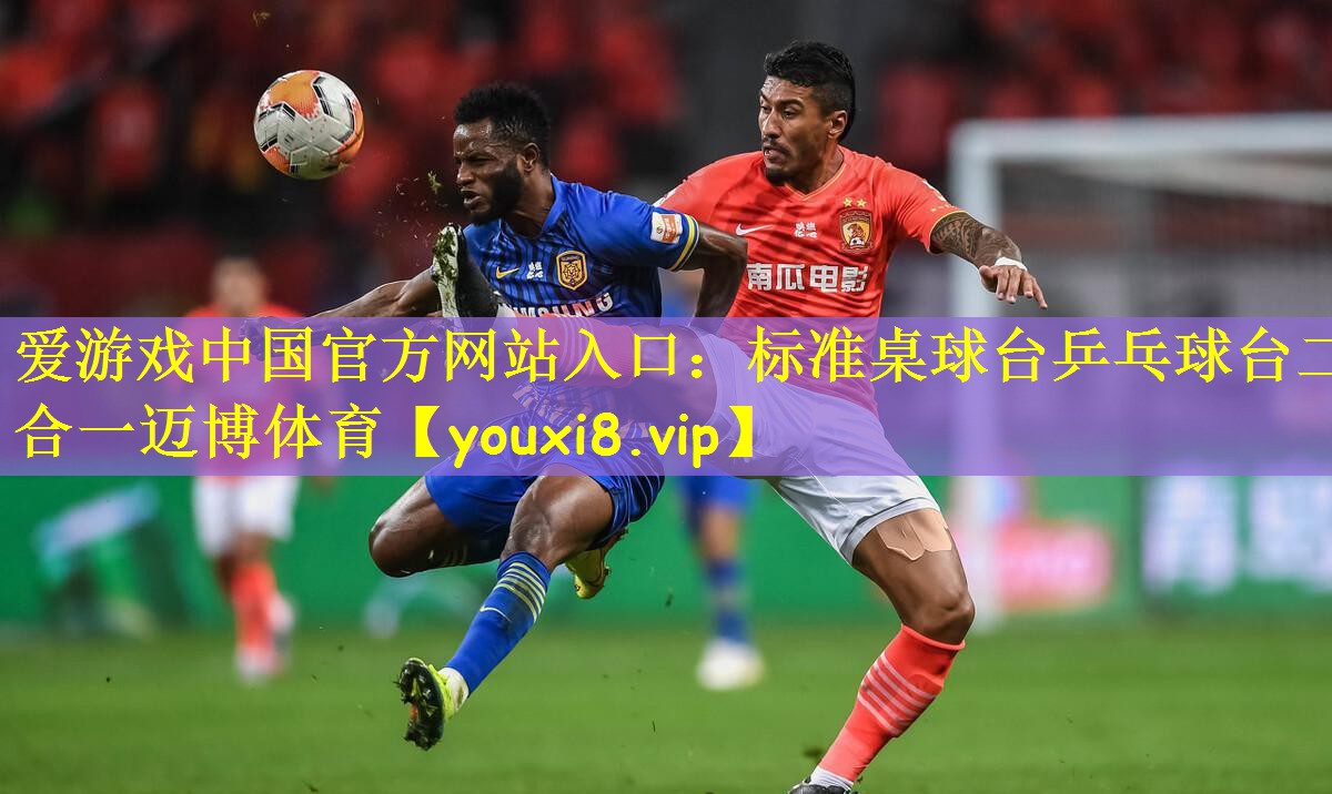 爱游戏中国官方网站入口:标准桌球台乒乓球台二合一迈博体育