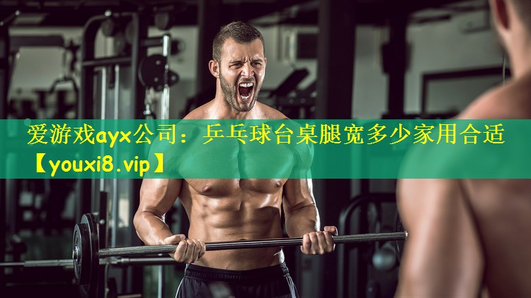 爱游戏ayx公司:乒乓球台桌腿宽多少家用合适