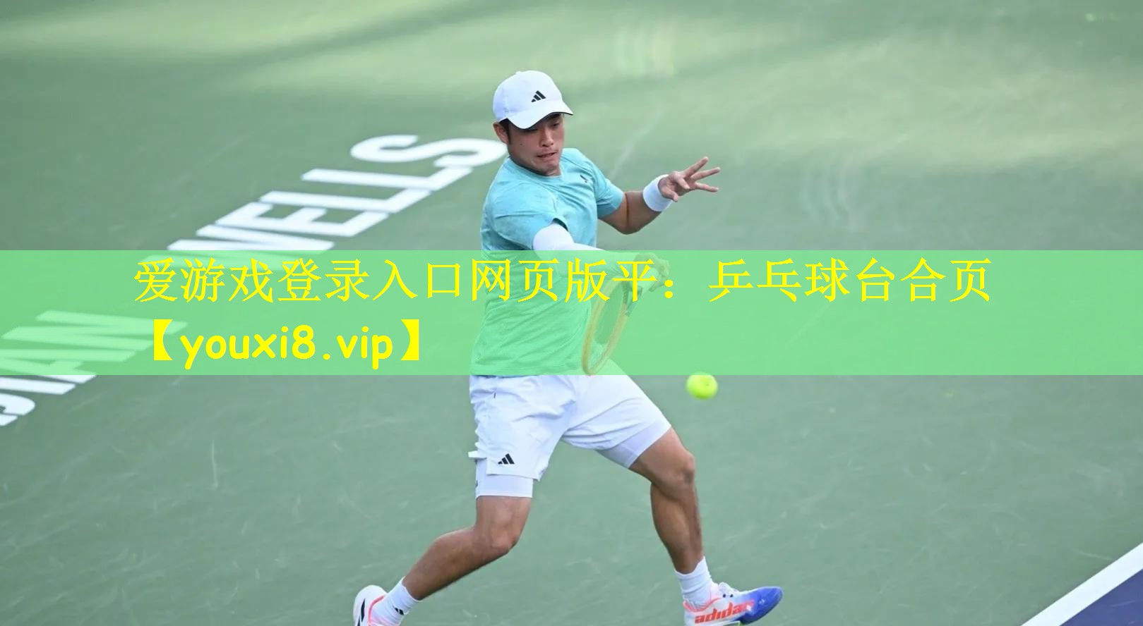 爱游戏登录入口网页版平:乒乓球台合页
