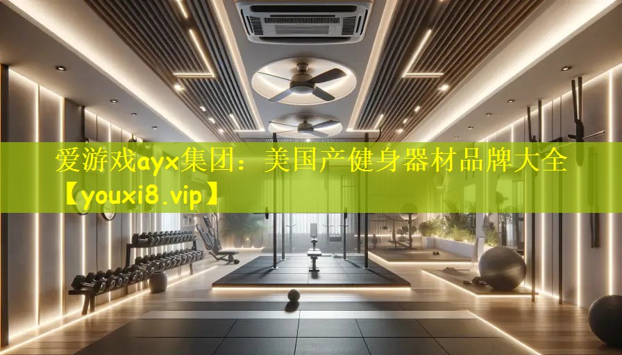 爱游戏ayx集团:美国产健身器材品牌大全