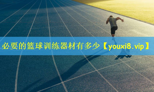 必要的篮球训练器材有多少