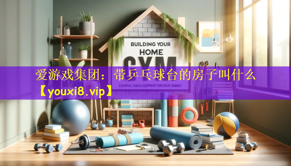 爱游戏集团：带乒乓球台的房子叫什么