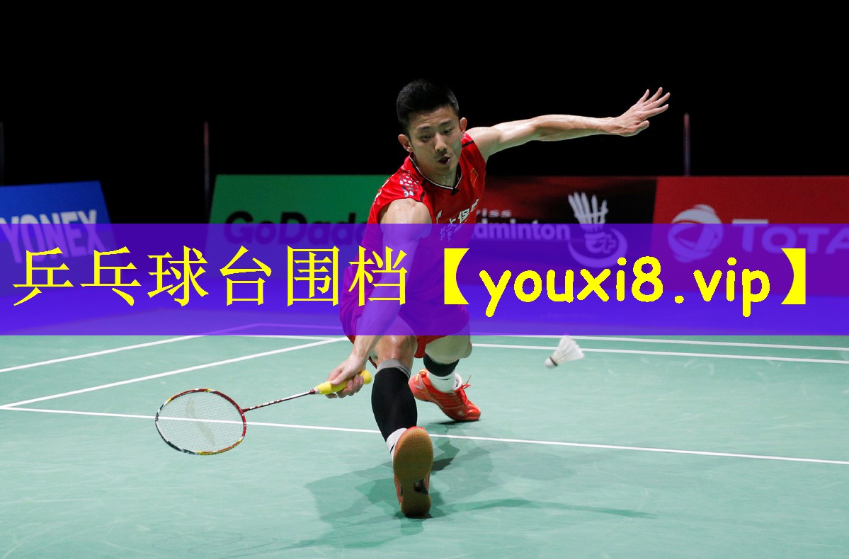 <strong>乒乓球台围档</strong>