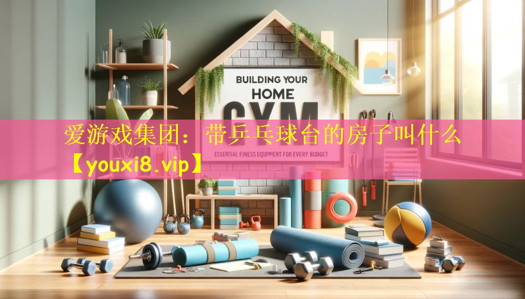 带乒乓球台的房子叫什么