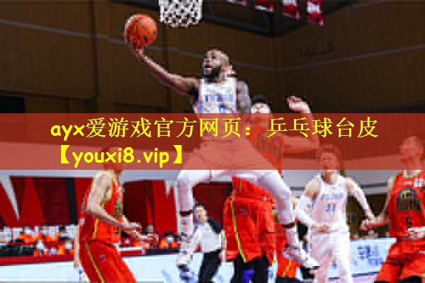 乒乓球台皮
